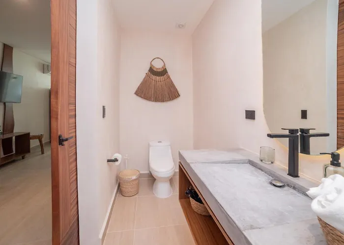 Loft Con Cowork, Gym Y Temazcal Apartment