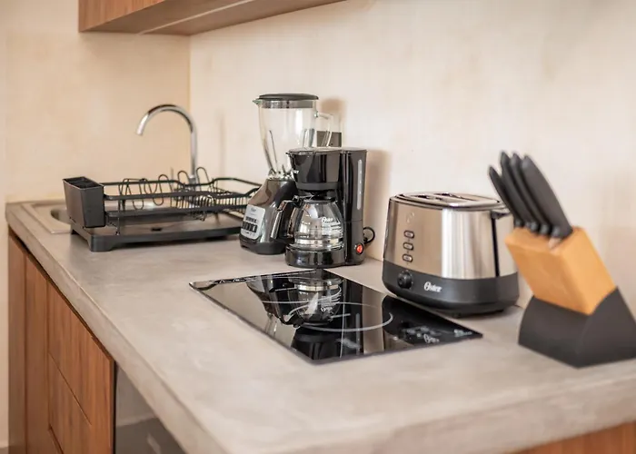 Apartment Loft Con Cowork, Gym Y Temazcal